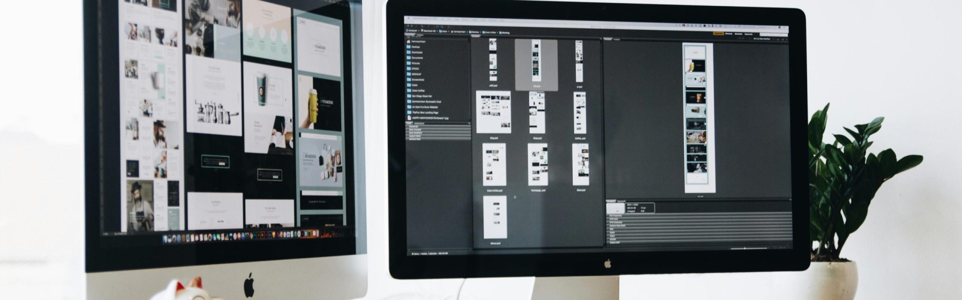Stylish office workspace featuring dual monitors, a keyboard, notebooks, and decorative plant.
